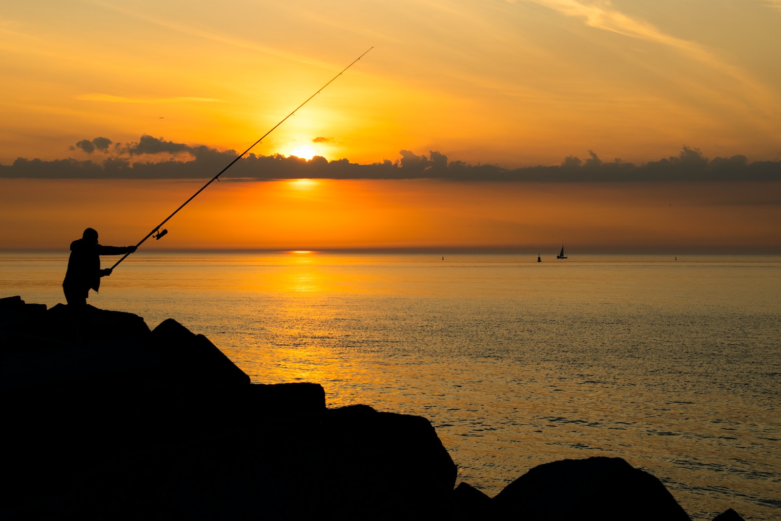 silhouette of person fishing on sea during sunset